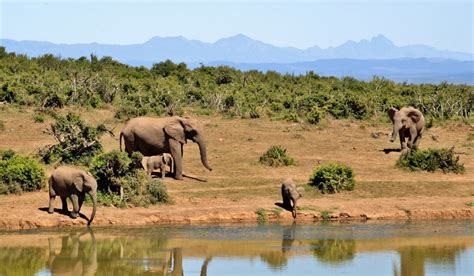 Moçambique tem local sagrado para a UNESCO (com fotos)