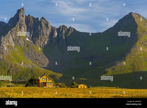 Mountains towering above house at Myrland on the Loften Islands in late evening sun. Myrland ...