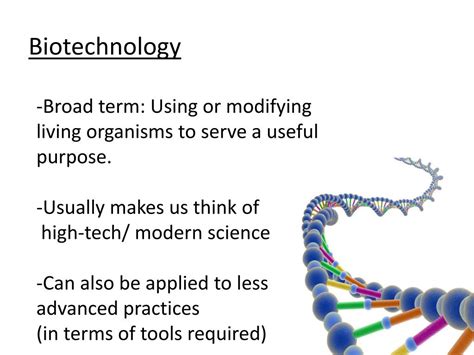 PPT - Traditional Biotechnology PowerPoint Presentation, free download - ID:2517850