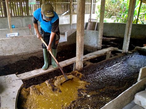 Konsep Zero Waste dalam Pemanfaatan Limbah Ternak di Pinrang - Mongabay ...