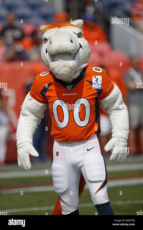 Broncos mascot hi-res stock photography and images - Alamy