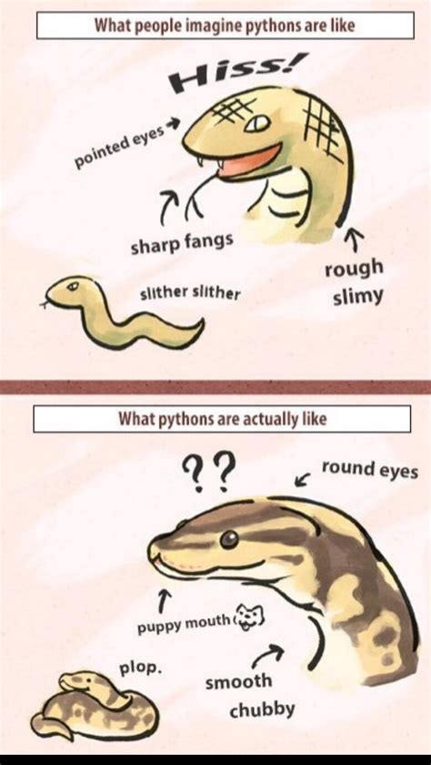 true snek - Meme by Thy_meme_maker :) Memedroid