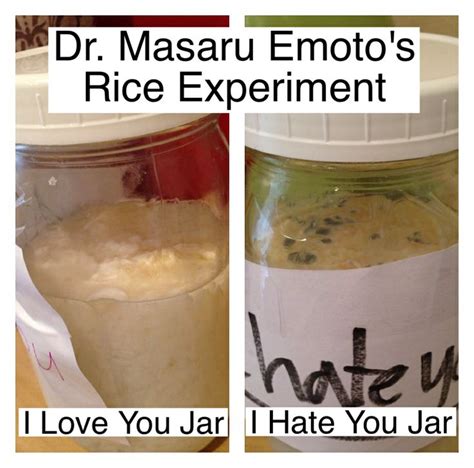 Recently our family participated in the Dr Masaru Emoto Rice Experiment ...