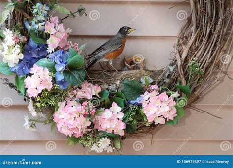 American Robin Nest in Wreath Stock Image - Image of bring, america: 106979397