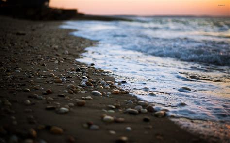 Pebbles on a sandy beach at sunset wallpaper - Photography wallpapers - #51970