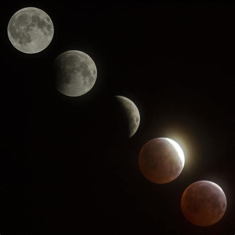 Blood Moon phases from this morning. Taken with a Canon T2i through ...