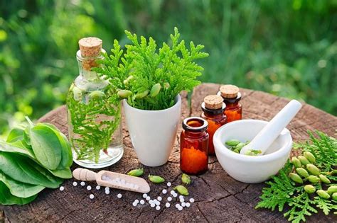 Plants as a source of new medicines - Drug Discovery World (DDW)