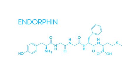 Endorphin Chemicals