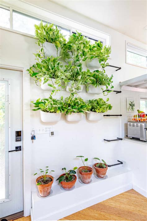 How to Display Houseplants: 100 of Our Favorite Plant-Display Ideas | Apartment Therapy