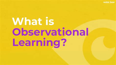 What is Observational Learning? - WBL