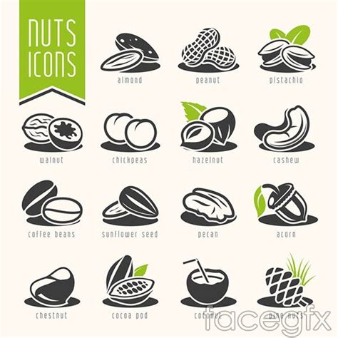 Fashion nuts dried fruit vector | Fruit logo design, Fruit logo, Fruit vector