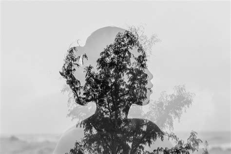 Silhouette of Asian woman behind tree branch near endless ocean · Free ...