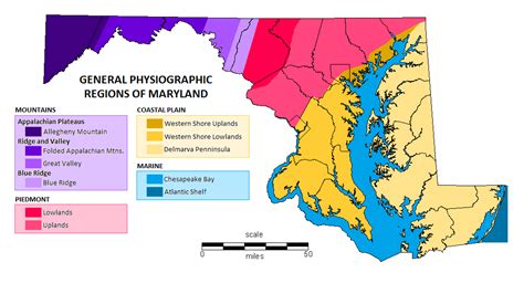 Maryland Labeled Map - vrogue.co