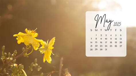 FREE MAY 2023 DESKTOP CALENDAR BACKGROUNDS (EASY DOWNLOAD)