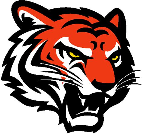 Cincinnati Bengals Primary Logo | Illustration, Stock illustration, Vector illustration