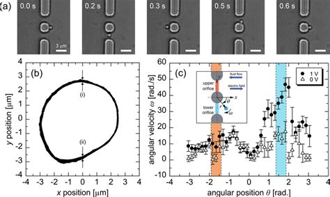 (a) Snapshots of the orbital motion of the... | Download Scientific Diagram