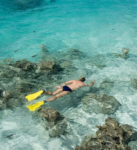 Snorkeling In Aitutaki Lagoon Cook Islands Stock Image - Image of ...