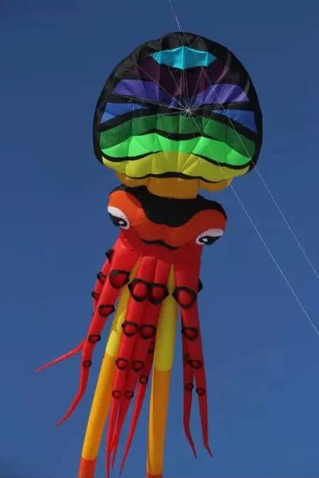 large Cuttlefish Single kite big kites for adults cometas para adultos ...