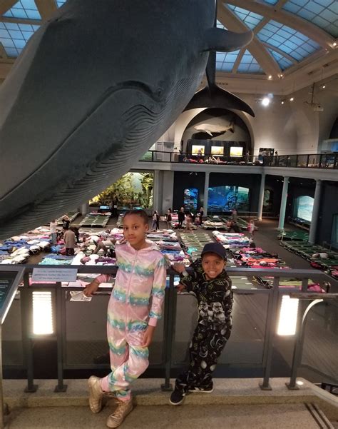 Review: Our Night at the American Museum of Natural History Sleepover