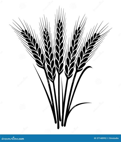 Wheat Stalk Clipart Black And White