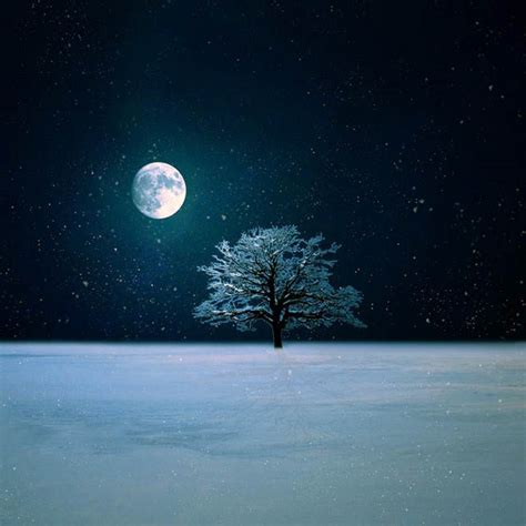 Winter Night Live Wallpaper by BaxiaArt on DeviantArt