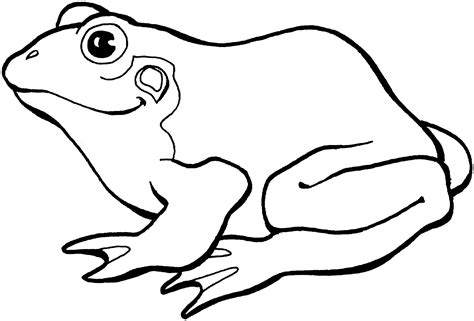 Frog black and white frog clipart black and white 3 - WikiClipArt