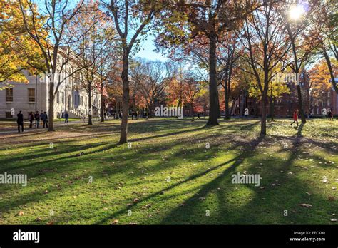 Harvard Yard, old heart of Harvard University campus, on a beautiful fall day in Cambridge, MA ...