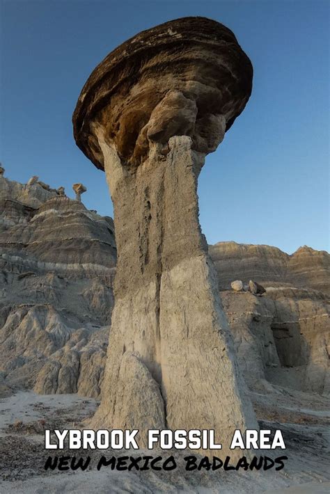 Lybrook Fossil Area | Badlands, Mexico destinations, New mexico