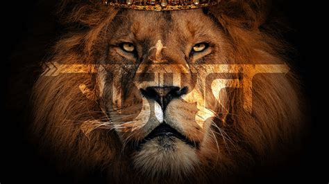 Download The roaring Lion of Judah symbolizes strength and courage. | Wallpapers.com