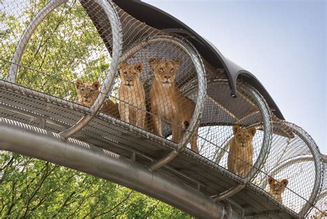 Exhibits – Philadelphia Zoo