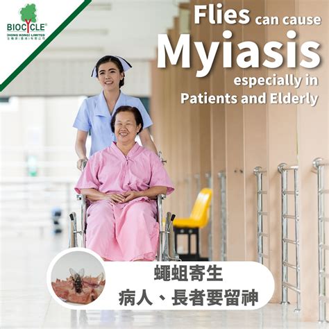 Flies and Their Larvae Can Cause Myiasis, Especially in Patients and Elderly - BioCycle (Hong ...