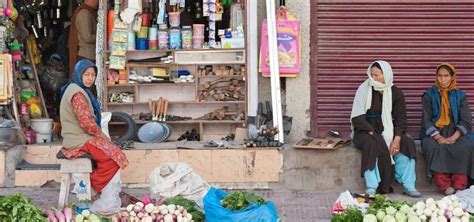 Wildflowers Of Ladakh: A Journey Through The Unique Flora Of The Region