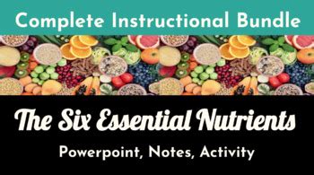 The Six Essential Nutrients - BUNDLE by Elena Teixeira | TPT