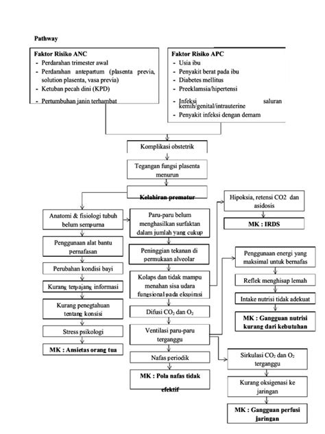 PDF Woc Persalinan Prematur Compress | PDF