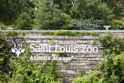 How To Get The Most Out Of The St. Louis Zoo - Taylor, Lately