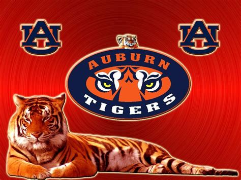 Auburn Tigers Wallpapers - Top Free Auburn Tigers Backgrounds ...