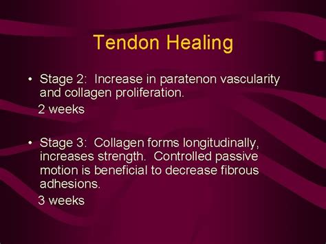 Physiology of Muscle Tendon Ligament Healing Jason R