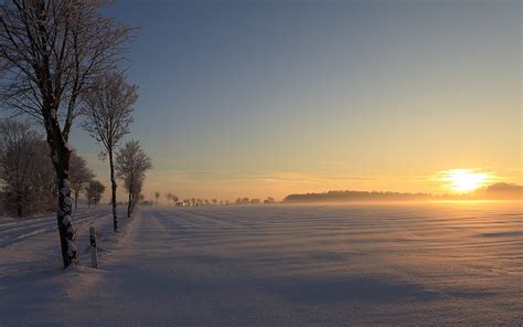 German Winter Sunset, winter, golden, sunsets, colors, beautiful, rural, field, snow, trees ...