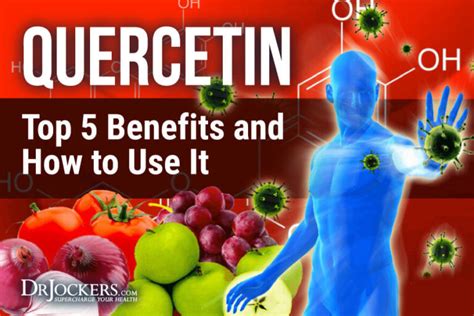 Quercetin: Top 5 Benefits and How to Use It - DrJockers.com