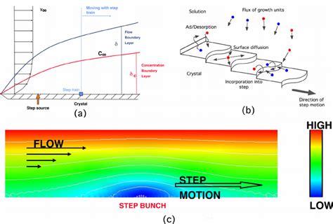 (a) Boundary layer depiction of macroscopic flows and mass transfer ...