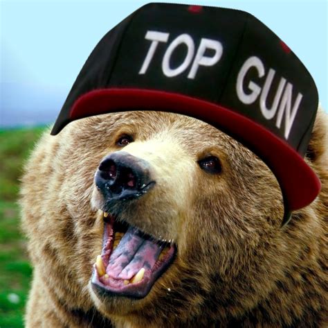 [Image - 644803] | Top Gun Hat | Know Your Meme