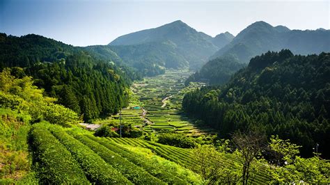 BBC Two - Japan: Earth's Enchanted Islands - Honshu