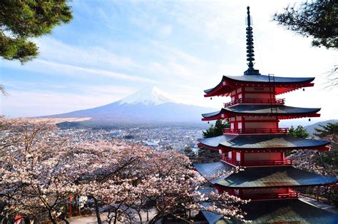 Mount Fuji Cherry Blossom Wallpapers - Top Free Mount Fuji Cherry ...