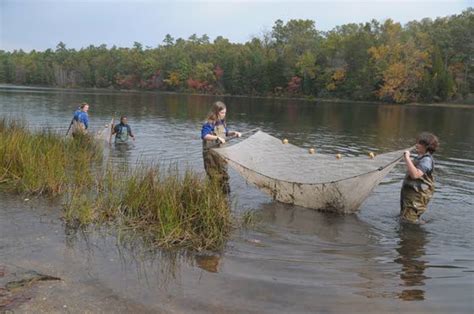 Hammonton Middle School students learn to test the waters at Batsto ...