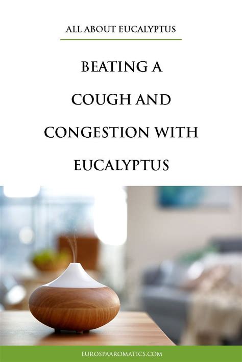 Beating congestion with eucalyptus – Artofit