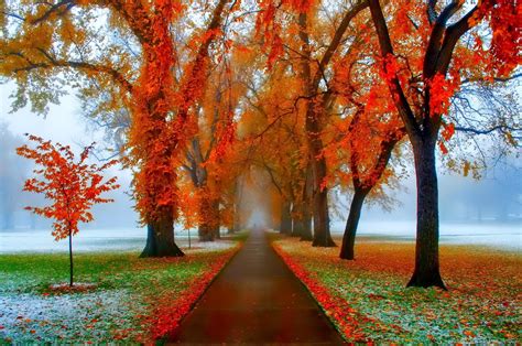 November Nature Wallpapers - Top Free November Nature Backgrounds - WallpaperAccess