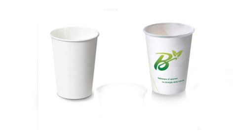 biodegradable and compostable coffee paper cups and accessories | Eco ...