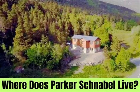 Parker Schnabel House: The Haines Mansion!