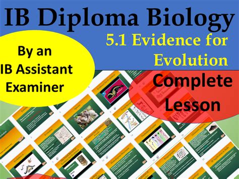 IB Biology Topic 5.1 Evidence for Evolution PPT | Teaching Resources