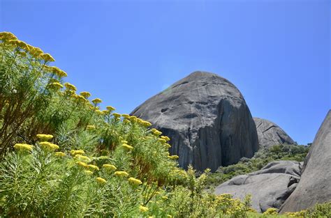 Paarl Mountain Nature Reserve - Necessary Indulgences